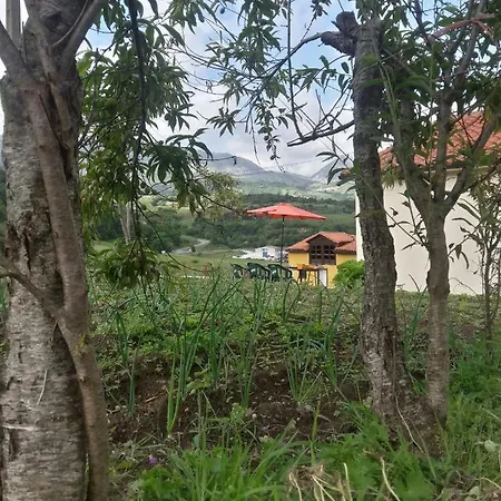 La Maria Diego Holiday home *
