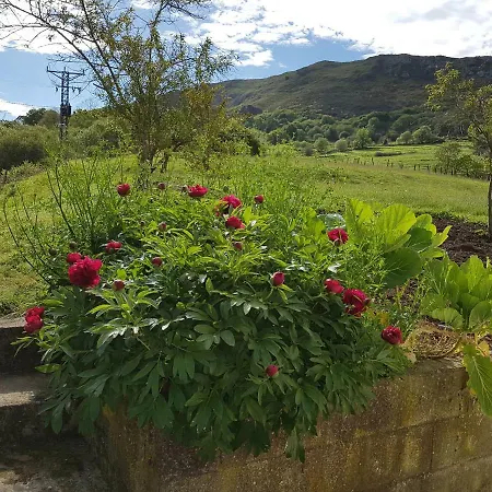 La Maria Diego Пеньямельера-Баха